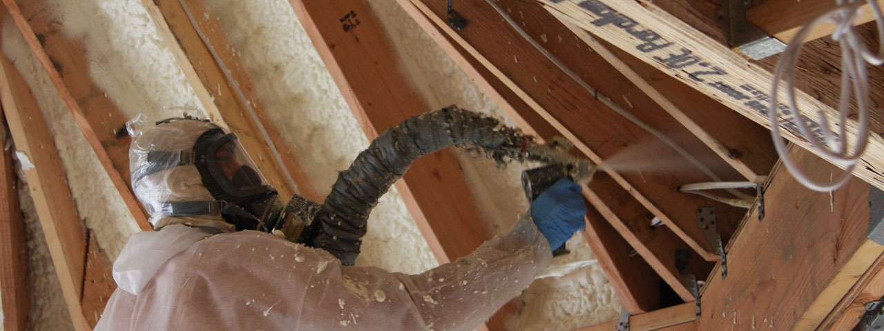 St Petersburg Florida Attic Insulation Spray Foam